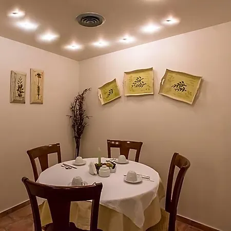 Hotel Apollonion 3*